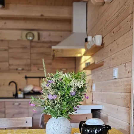 Holiday home Sosnowa - Karpacz
